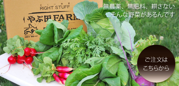 やぶ田ファームの季節の野菜詰め合わせセット